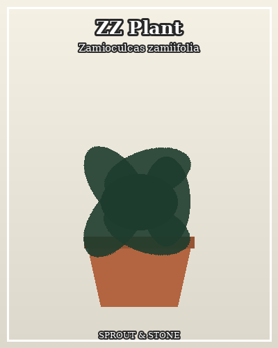 Photo of ZZ Plant