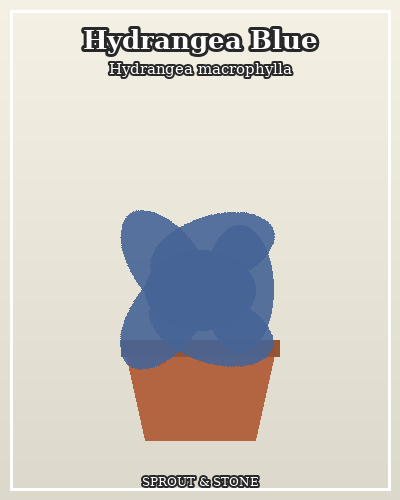 Photo of Hydrangea Blue