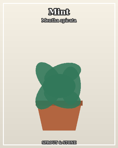 Photo of Mint