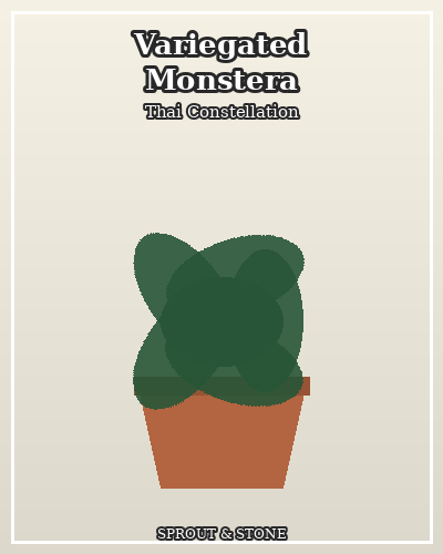 Photo of Variegated Monstera